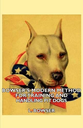 Bowser modern - bowser,
