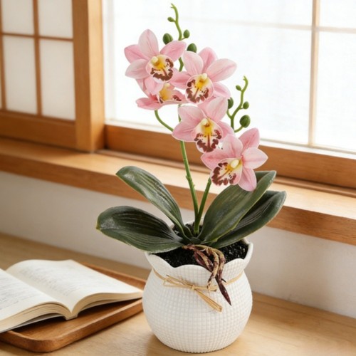 Pianta magnolia finta - pianta, di