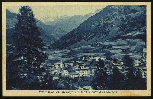 Cogolo val pejo - di, m.