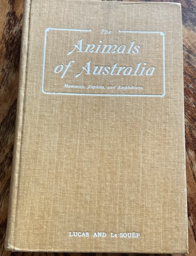 The animals australia - of,