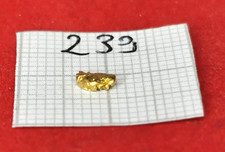 #239 pepita d'oro Alaska Yukon