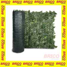 SIEPE FINTA SIEPE FOGLIA EDERA