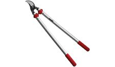 Troncarami tagliarami