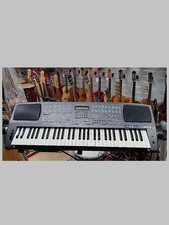 Tastiera arranger con Karaoke 61 tasti dinamici Farfisa G8 ( usata )