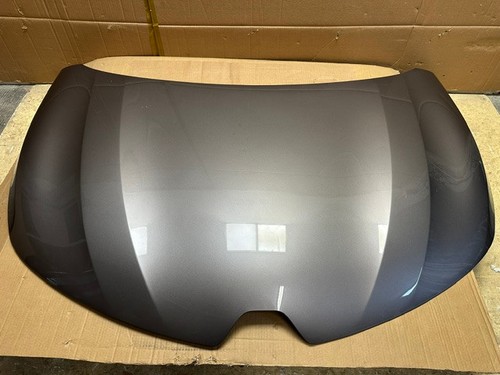 Cofano anteriore per renault - anteriore,