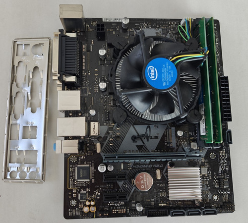 Scheda madre asus - scheda,