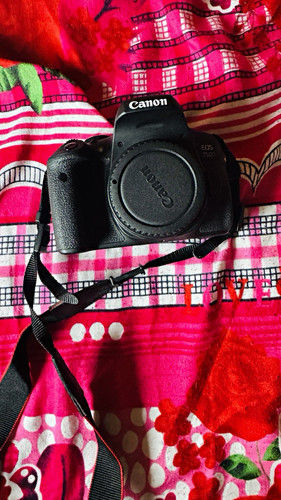Set fotocamera reflex - , digitale