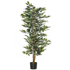 PIANTA FINTA FICUS 150CM CON