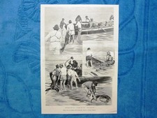 Illustrazione Italiana 1898 -