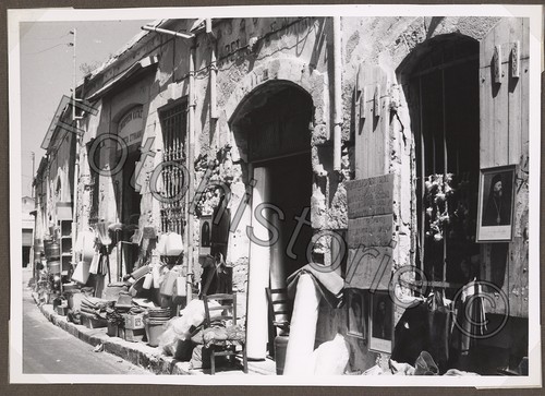 Foto zypern paphos ktima - foto,