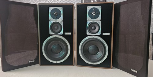 Coppia altoparlanti magnat - coppia,