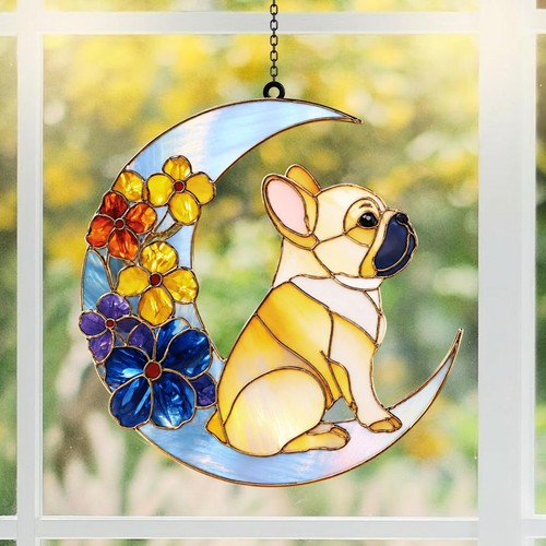 Bulldog francese luna