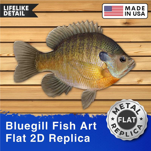 Replica realistica bluegill - replica,