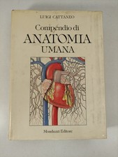 Compendio Di Anatomia Umana