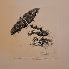 Walter Piacesi Ascoli Pic. 1929-Fermignano 2022 Acquaforte Farfalle erranti 1976