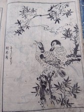 Libro antico giapponese 1794