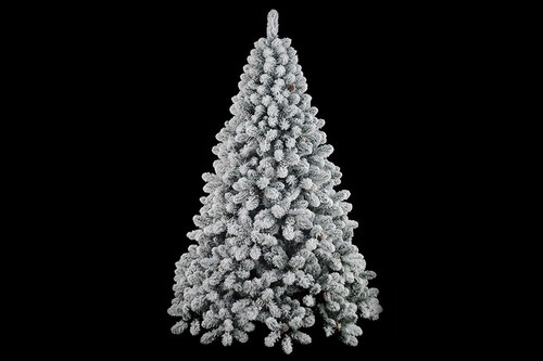 53773 albero natale - di, uragano