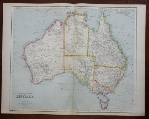 Australia continente con primi