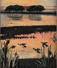 STAMPA 1936 SAN ROSSORE MASSACIUCCOLI PISA PALUDE DA DIPINTO G.LENTINI