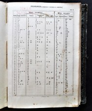 Stampa antica originale litografia Filologia Lingua Demotico Scrittura Popolare