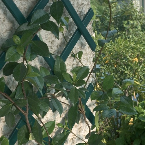Traliccio verde treplast - traliccio,