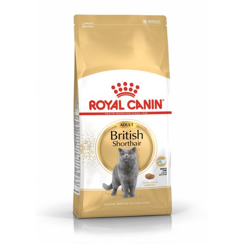Fbn british shorthair kg - fbn,