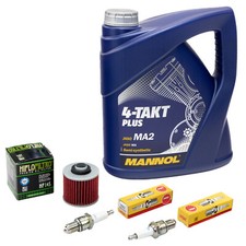 Kit Revisione Olio 4L per