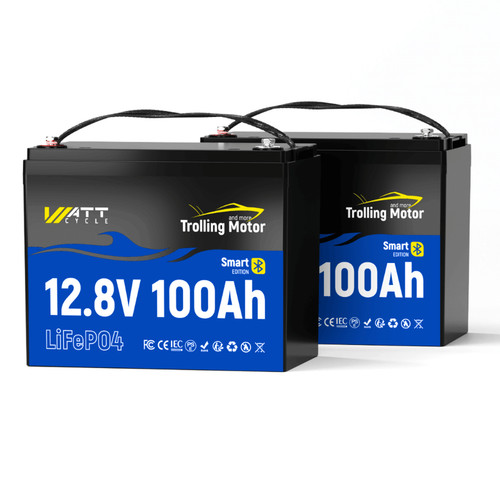 Motore trolling 12v 100ah - 12v,