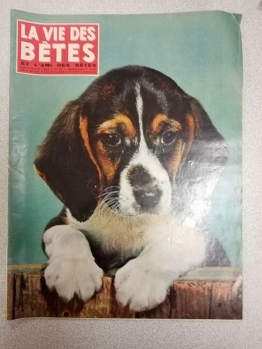 Vita degli animali nº - degli,