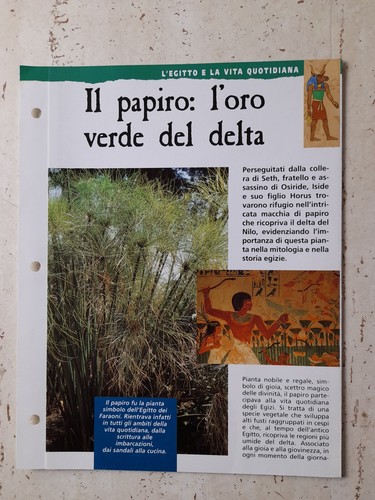 Clipping egitto storia - clipping, e