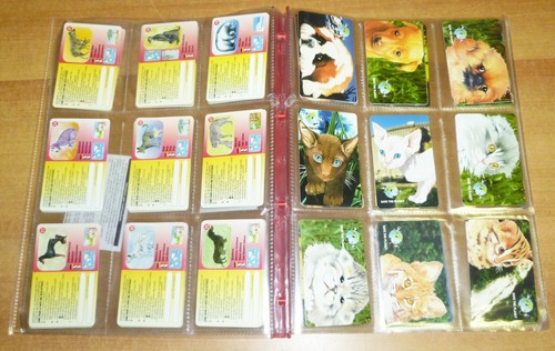 Baby animals serie completa - -,