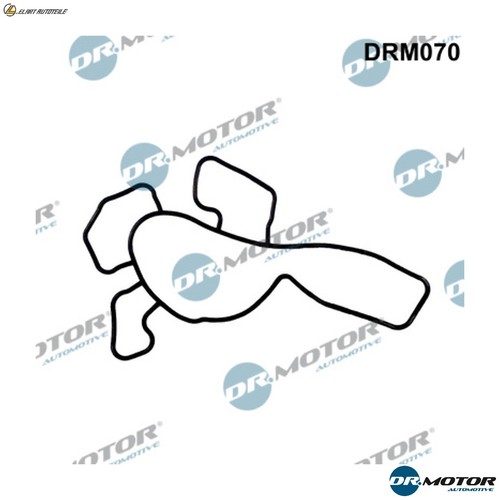 Guarnizione pompa acqua drm070 - guarnizione,