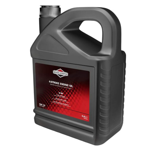Olio motore tempi briggs - motore,
