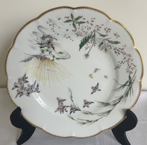 Piatto haviland limoges - piatto,