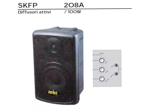 Coppia casse amplificate - coppia,
