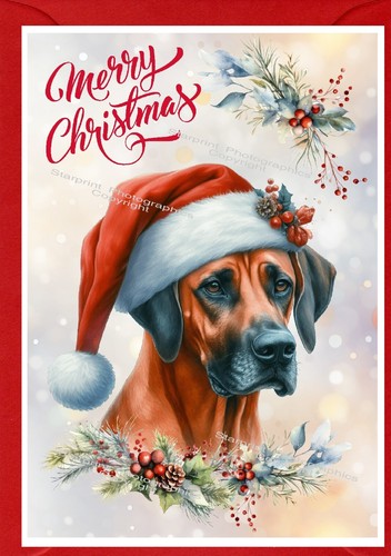Biglietto natale rhodesian - natale,