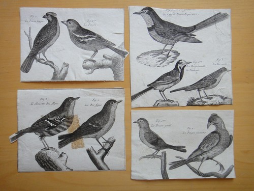 1790 circa quattro incisioni - circa-quattro,