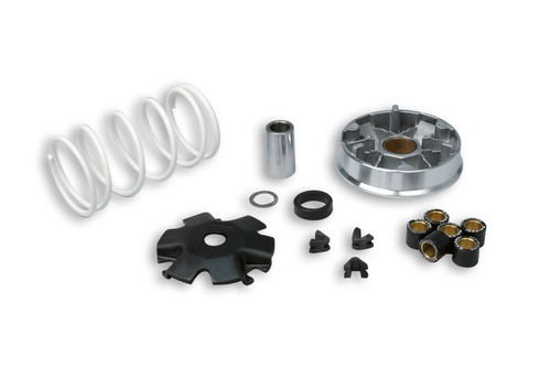 Variatore multivar malossi - multivar,