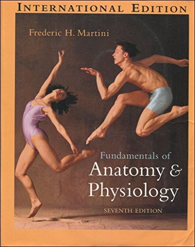 Fundamentals anatomy - of,
