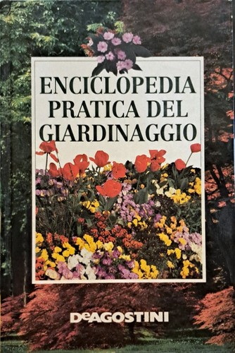 Libro enciclopedia pratica del - libro,