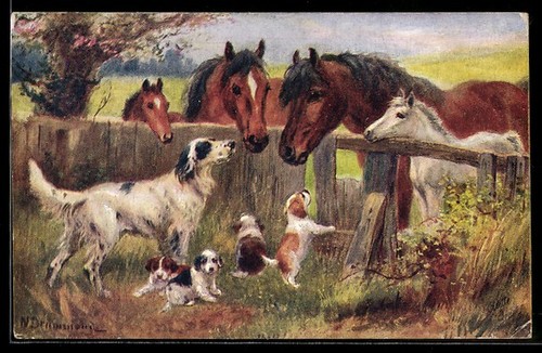 Cagnolina caccia con - caccia,