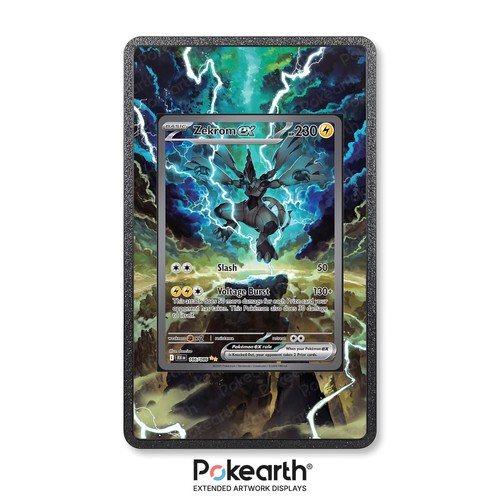 Zekrom 166 086 case - ex, 166/086