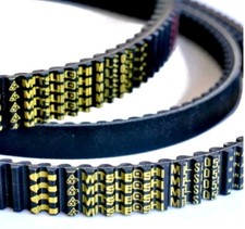 CINGHIA TRASMISSIONE ORIGINALE