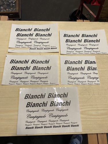 Bianchi campagnolo adesivi - bianchi,