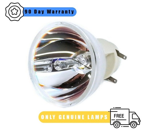 Nuova lampadina lampada - nuova,