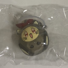 Cinghia accessorio mejirushi