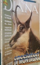 DIANA 24 2000 Colombacci Volpe Drahthaar Starne Caccia in Russia Lepre Caccia