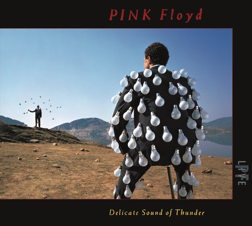 Pink floyd delicate - floyd, sound