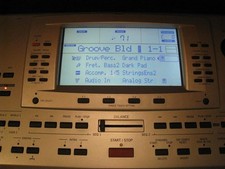 Solo display LCD PER KORG PA80