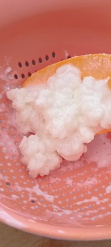 Kefir latte g grani - kefir,